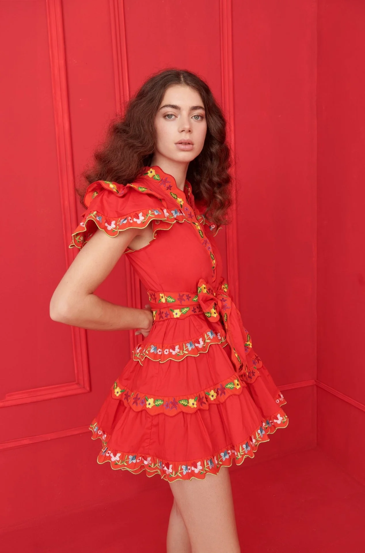 Haze Dress Red